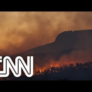 Amazonas tem terceiro pior ano de queimadas na história | CNN Domingo