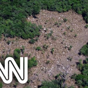 Ministros detalham ações contra o desmatamento no Brasil | CNN PRIME TIME