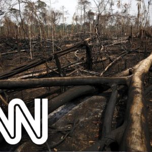Líderes prometem acabar com o desmatamento até 2030 | JORNAL DA CNN