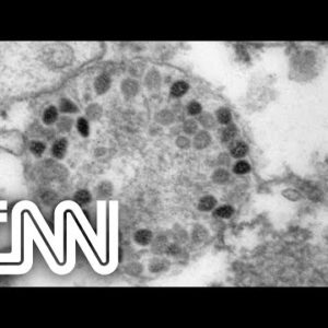 Aumento real de casos da Ômicron no Brasil é desconhecido, diz infectologista | JORNAL DA CNN