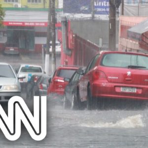 Chuvas que afetaram Sudeste no início de janeiro devem retornar na virada do mês | NOVO DIA