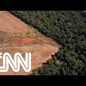 Desmatamento na Amazônia é o pior em 10 anos | CNN PRIME TIME