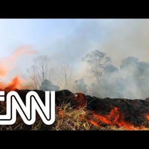 Aumento de queimadas é registrado em 12 estados brasileiros | CNN PRIME TIME