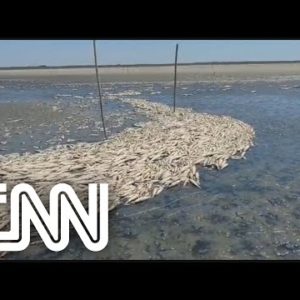 Estiagem causa morte de milhares de peixes no Rio Grande do Sul | CNN SÁBADO