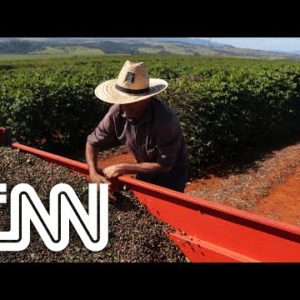 Conexão Agro: Agropecuária gera 141 mil postos de trabalho em 2021