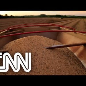 Conexão Agro: Período de vazio sanitário da soja é ampliado para 2022