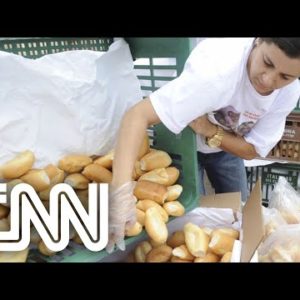 Conexão Agro: Trigo compõe menos de 15% do preço final do pão francês, diz estudo