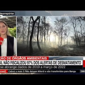 Brasil não fiscalizou 97% dos alertas de desmatamento desde 2019 | NOVO DIA
