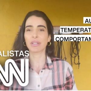 Carmen Perez: Aumento da temperatura afeta comportamento dos animais | ESPECIALISTA CNN