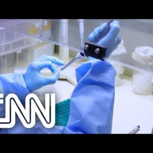 Brasil tem cinco casos confirmados de varíola dos macacos | EXPRESSO CNN