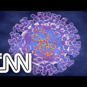 Brasil tem seis casos confirmados de varíola dos macacos | JORNAL DA CNN