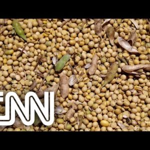 Conexão Agro: Produção de soja no Brasil registra grandes altas no primeiro quadrimestre de 2022