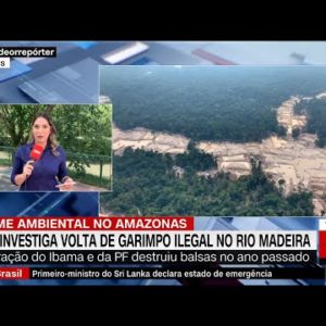 MPF investiga volta de garimpo ilegal no Rio Madeira, no Amazonas | LIVE CNN