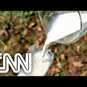 Conexão Agro: Excesso de chuvas prejudica pastagens de gado leiteiro