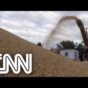 Ucrânia se prepara para retomar exportação de grãos | CNN MONEY