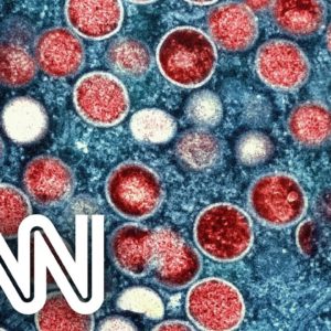 São Paulo avalia compra e produção de vacinas contra varíola dos macacos | LIVE CNN
