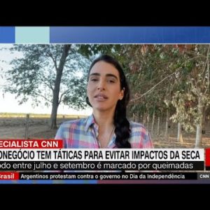 Carmen Perez: Fazendas têm diversas estratégias para coibir incêndios | ESPECIALISTA CNN