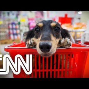 Rio é a 1ª cidade do Brasil a permitir animais domésticos em supermercados | CNN SÁBADO