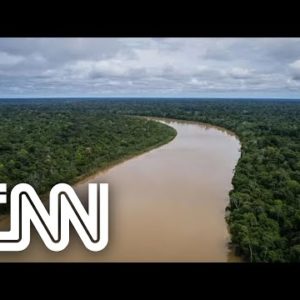Ações combatem degradação da Floresta Amazônica | EXPRESSO CNN
