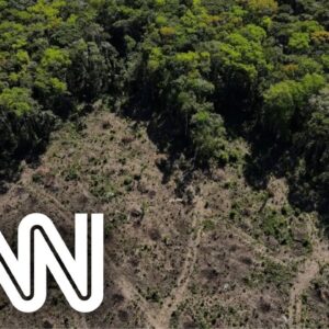 Desmatamento anual da Amazônia cai 11% | EXPRESSO CNN